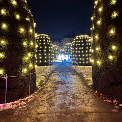 22-12-19 20-00-07 3682